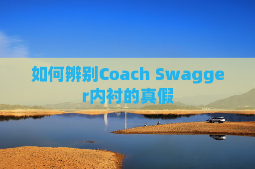 如何辨别Coach Swagger内衬的真假